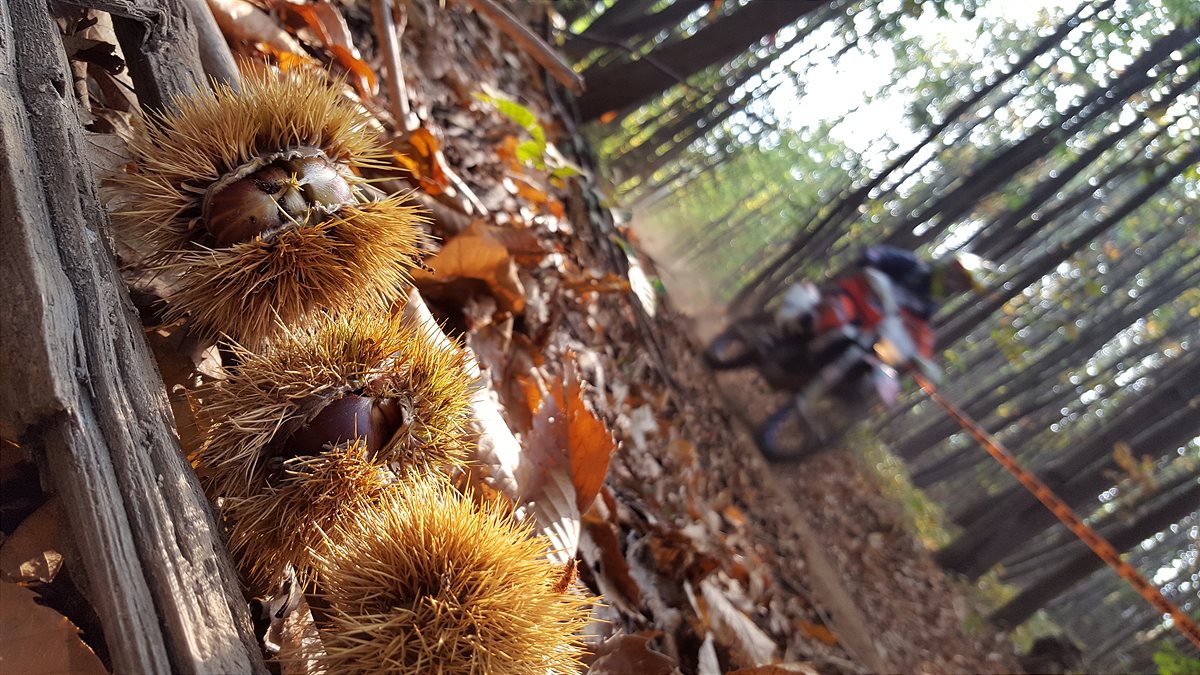 Enduro e castagne