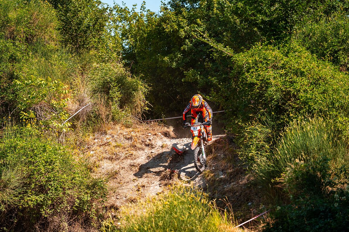 ARRONE_TROFEO_HQ_-1030