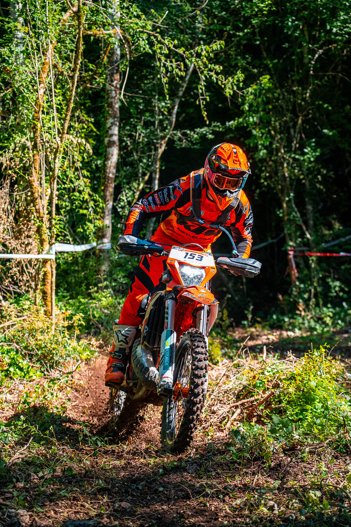 ARRONE_TROFEO_HQ_-405