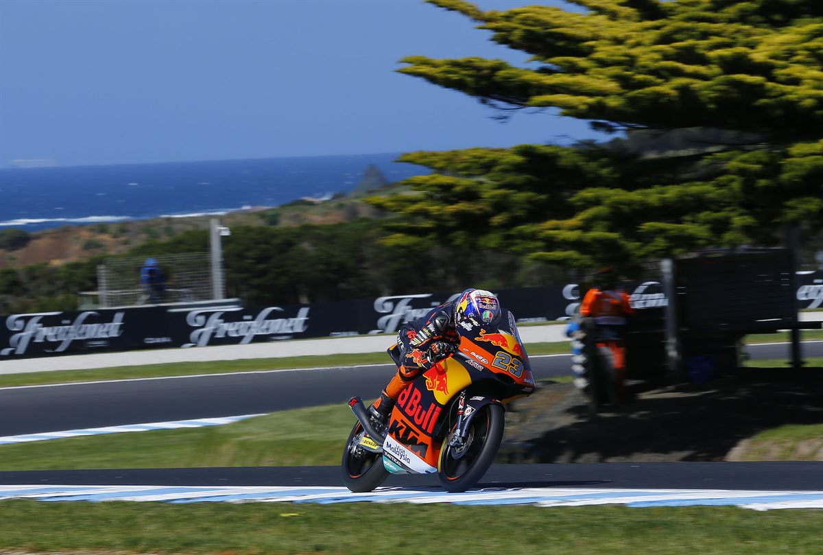 Niccolo Antonelli KTM RC250 GP Phillip Island 2017
