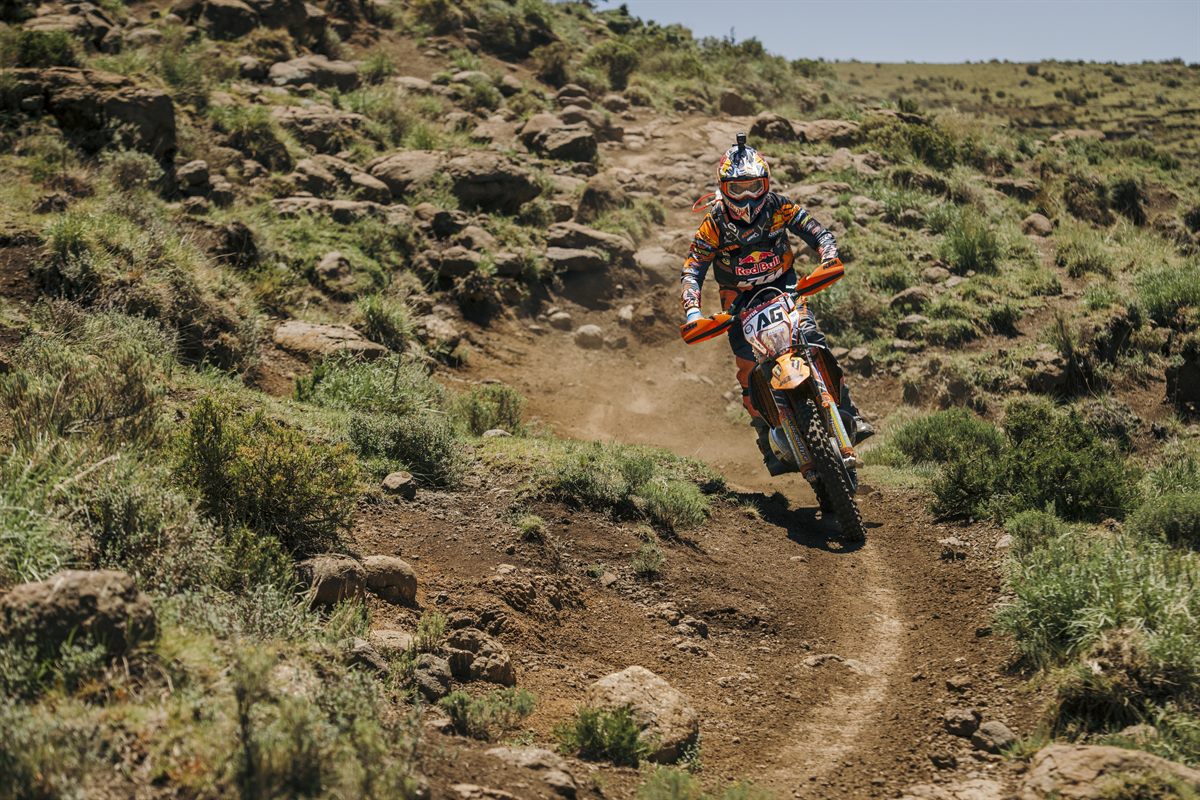 Alfredo Gomez - KTM 300 EXC - Roof of Africa - 2017