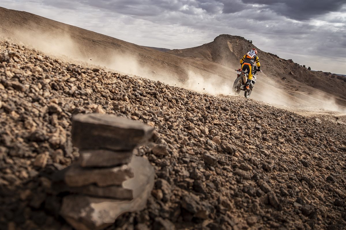 Hodgskin KTM 790 ADVENTURE R_KTM Ultimate Race 2019