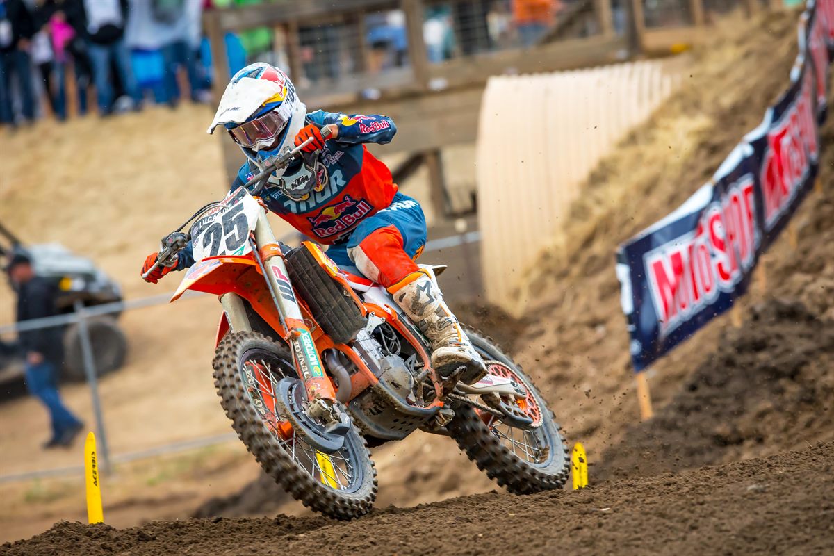 MUSQUIN 2