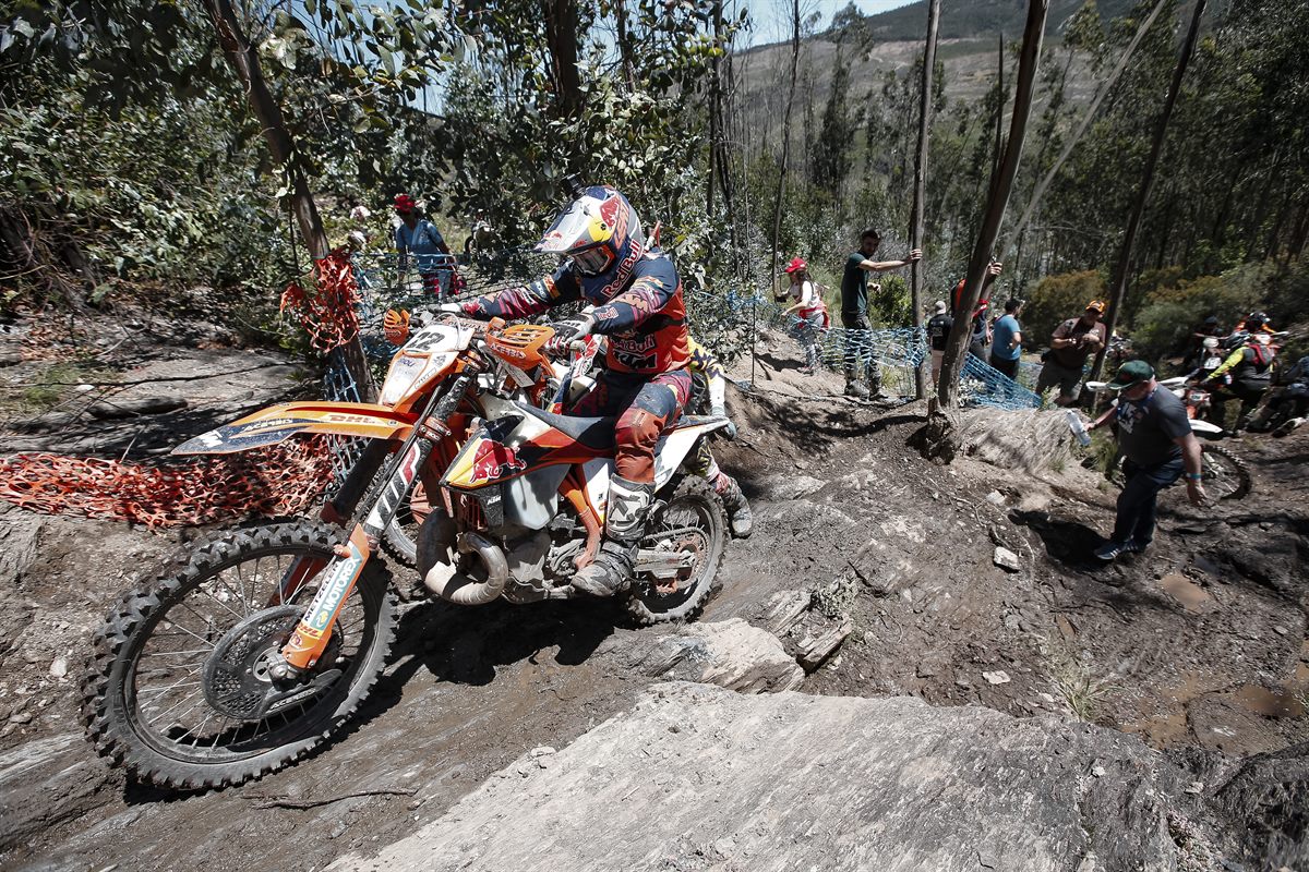 Jonny Walker - Red Bull KTM Factory Racing - WESS 2019