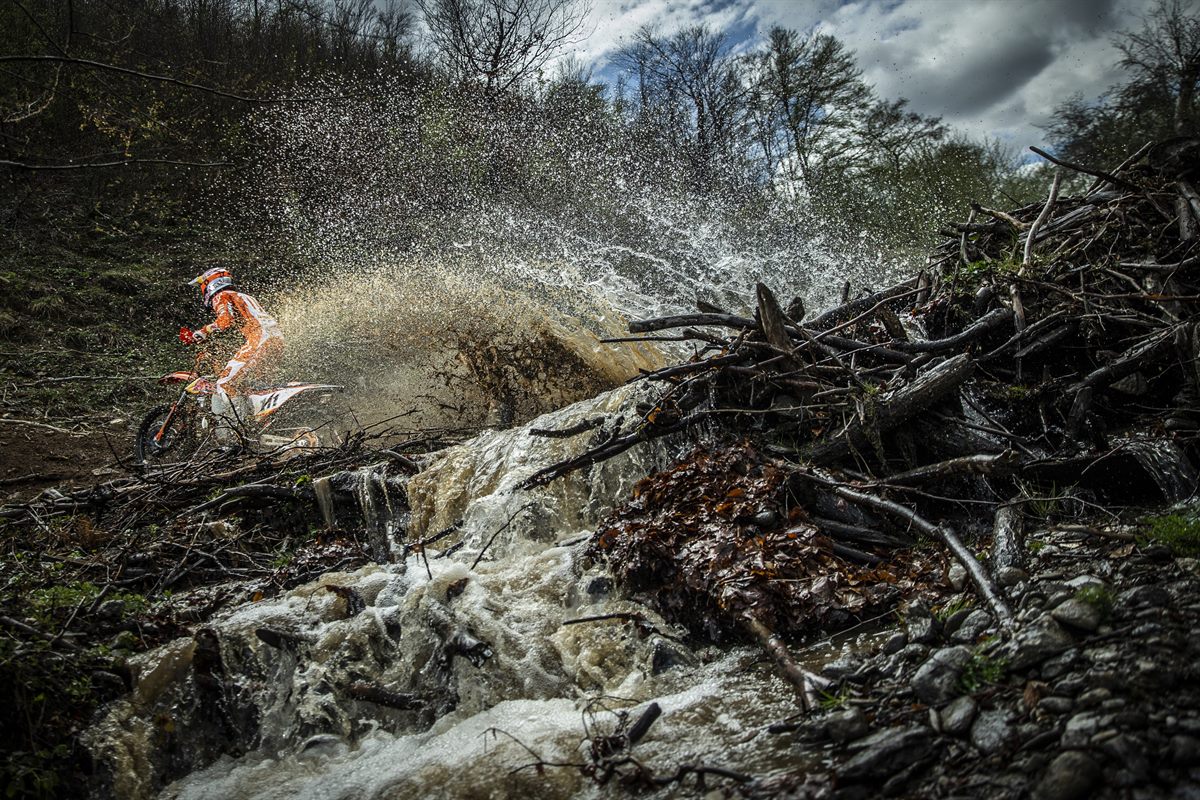 Taddy Blazusiak - Red Bull KTM Factory Racing - WESS 2019