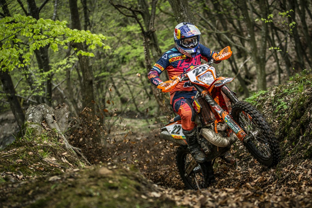 Jonny Walker - Red Bull KTM Factory Racing - WESS 2019