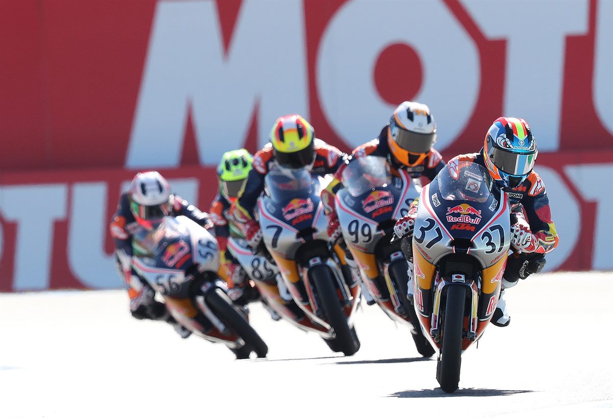Red Bull MotoGP Rookies Cup