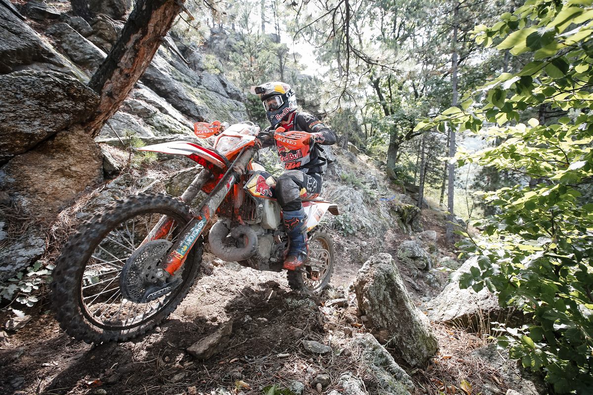 Taddy Blazusiak - Red Bull KTM Factory Racing - Red Bull Romaniacs 2019