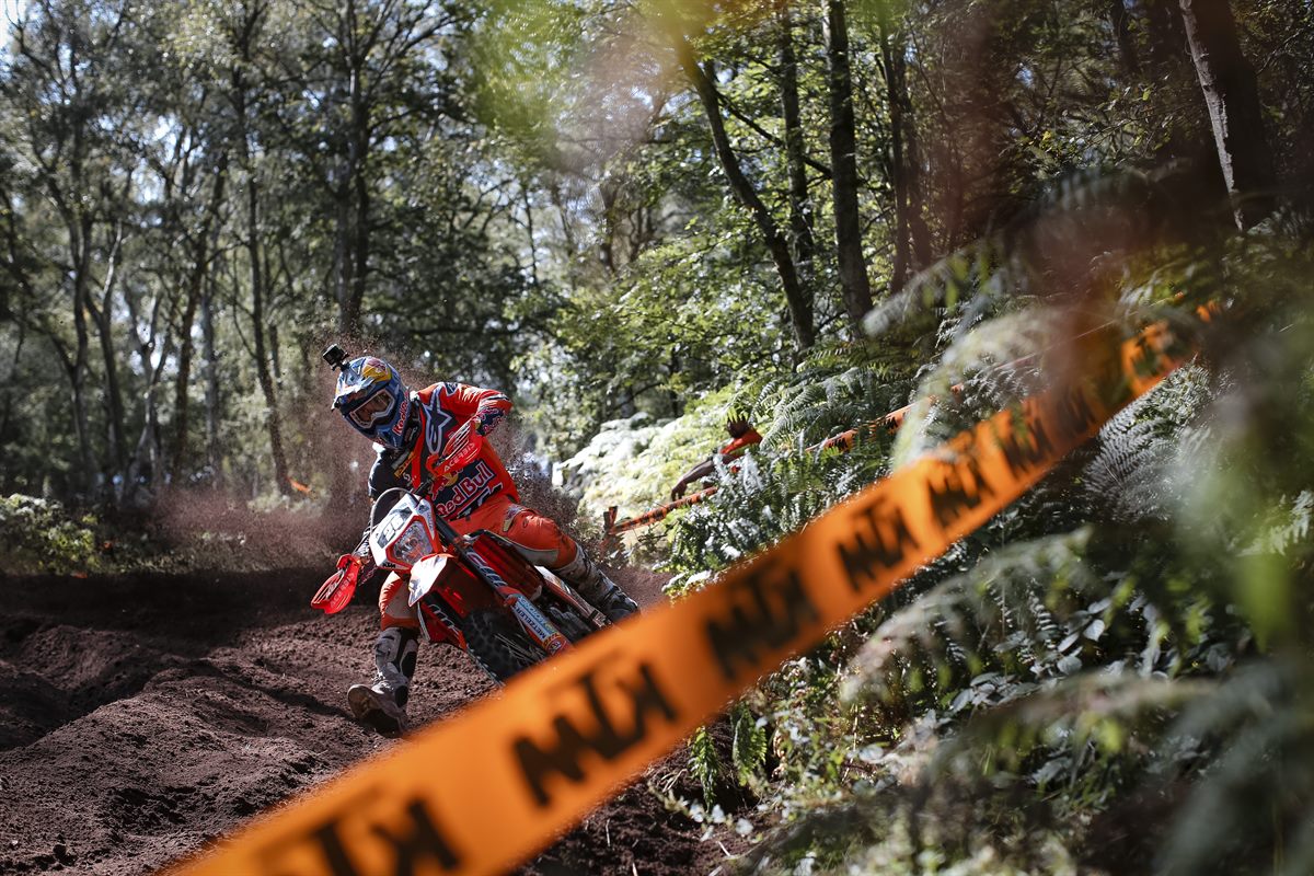 Josep Garcia - Red Bull KTM Factory Racing - WESS 2019