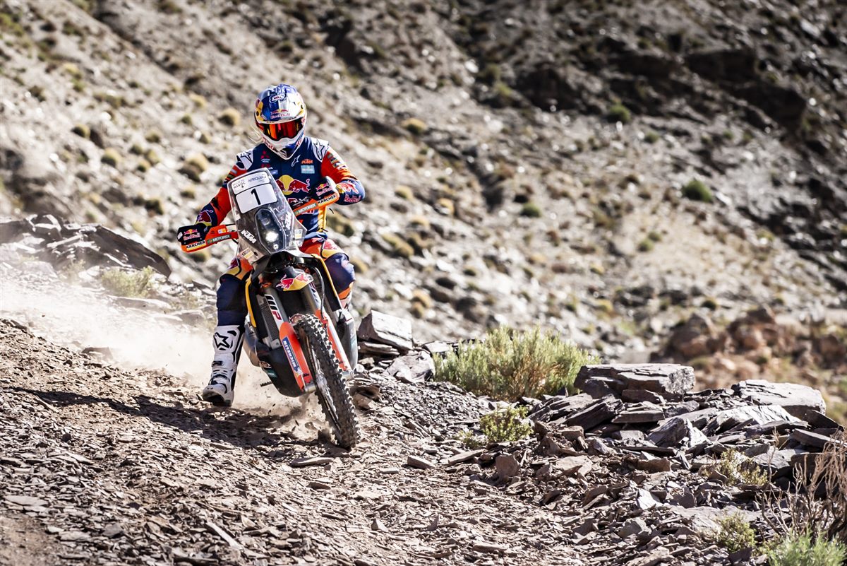 Toby Price - KTM 450 RALLY - 2019 Rally du Maroc