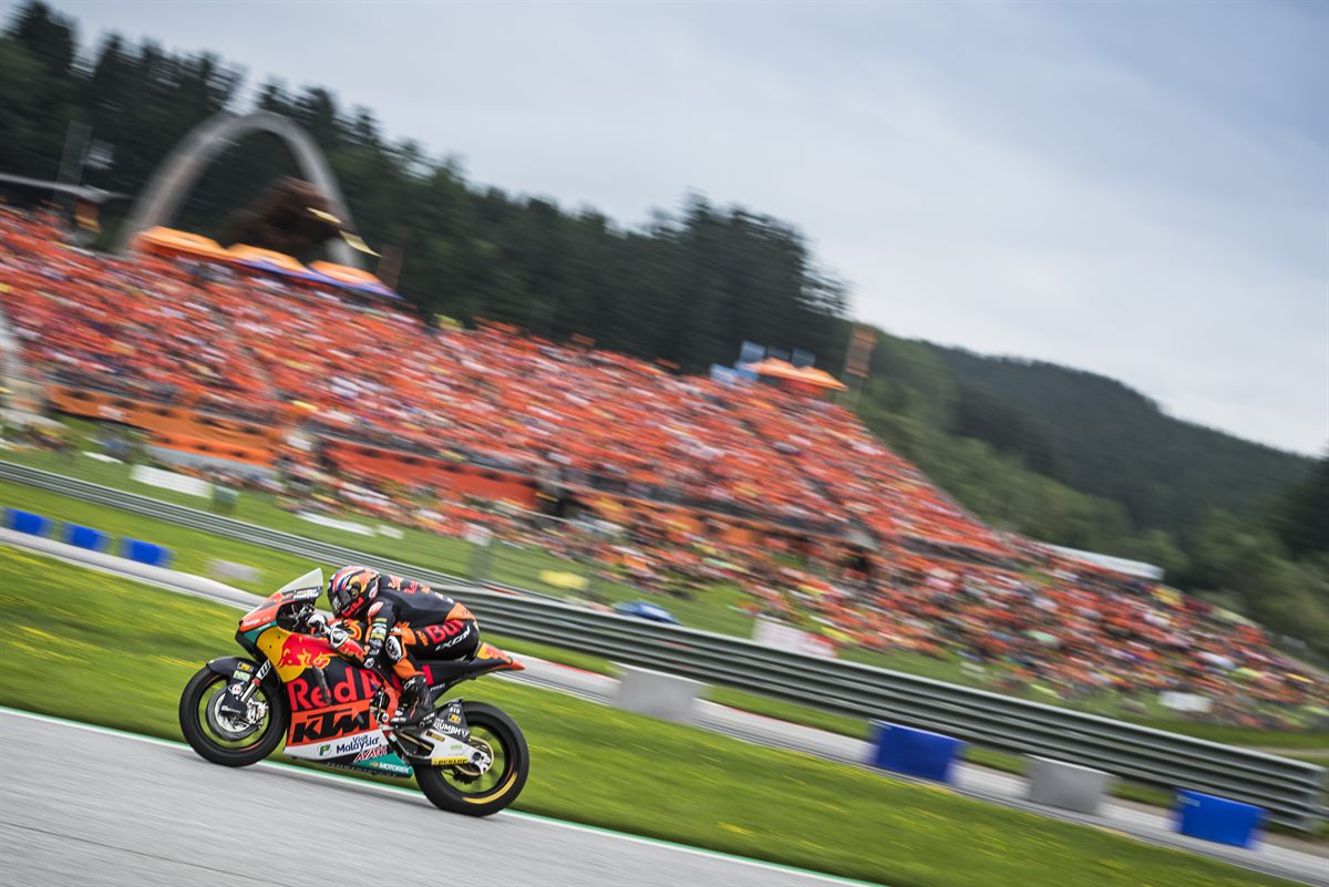Brad Binder 2019