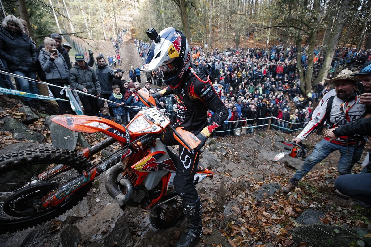 319385_manuel.lettenbichler_Wess 2019 Rnd8 - GetzenRodeo_02021