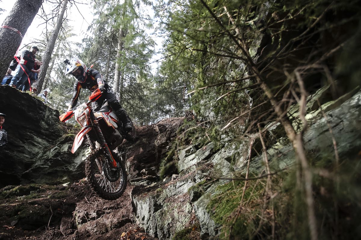 319389_manuel.lettenbichler_Wess 2019 Rnd8 - GetzenRodeo_04276