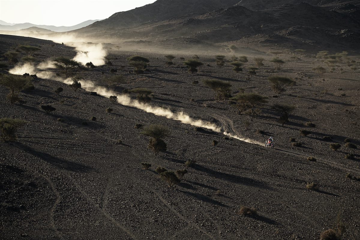 Red Bull KTM Factory Racing - Dakar Rally 2020