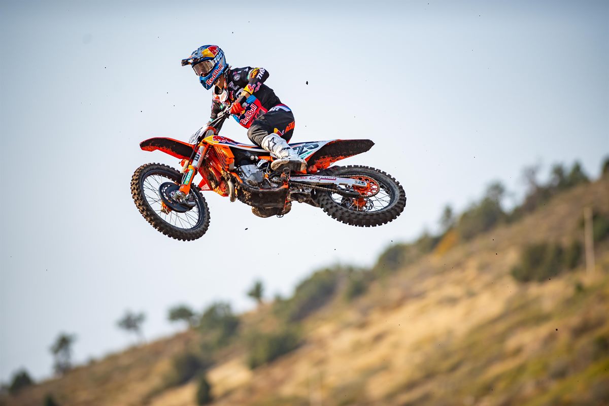 MARVIN MUSQUIN RD 8 - 001