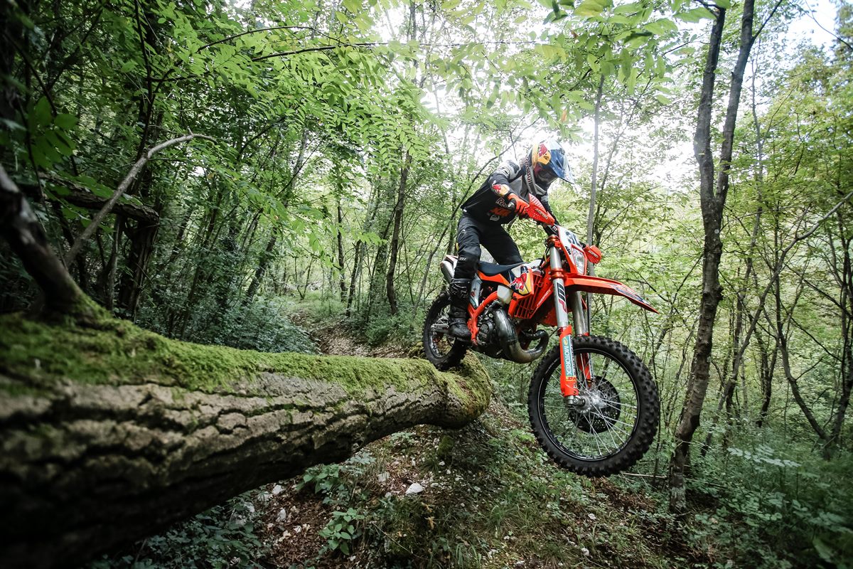 Manuel Lettenbichler - KTM Factory Racing