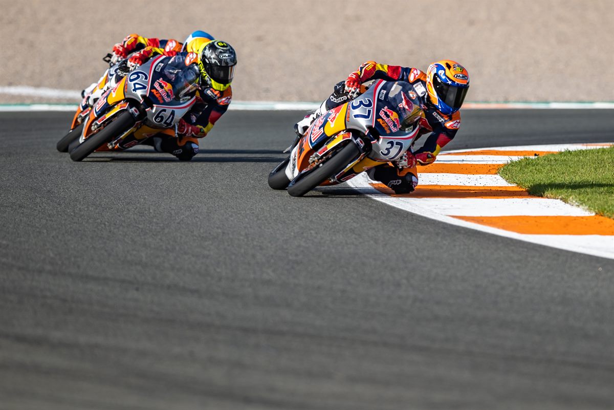 Pedro Acosta Red Bull MotoGP Rookies Champion 2020