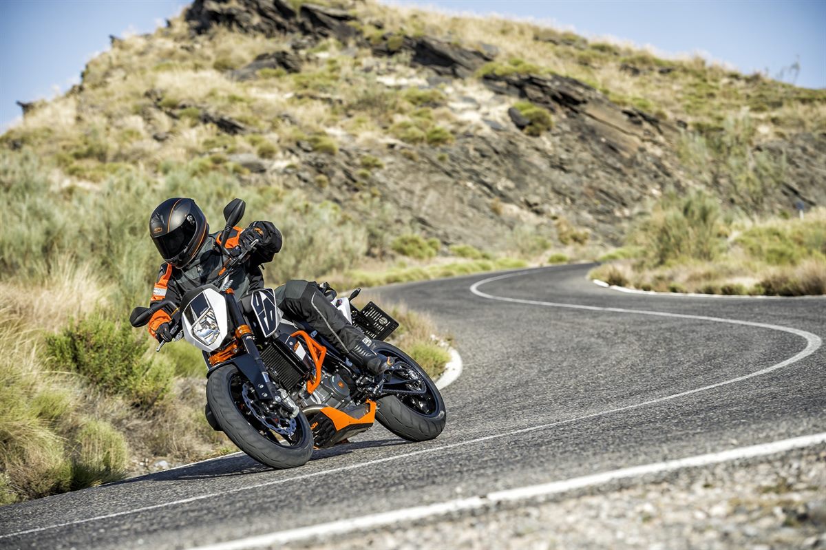 690 DUKE Action