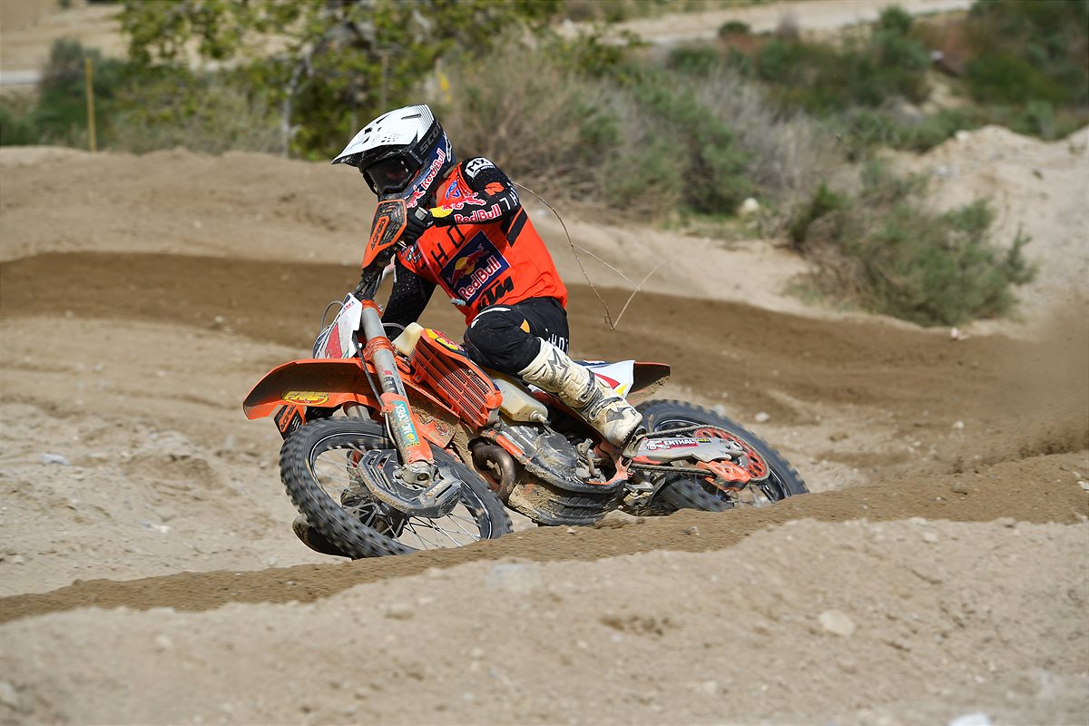Dante Oliveira - NGPC RD 3