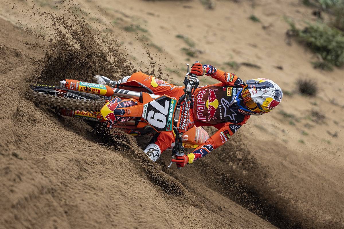 Sacha Coenen 2023 MX2 Red Bull KTM