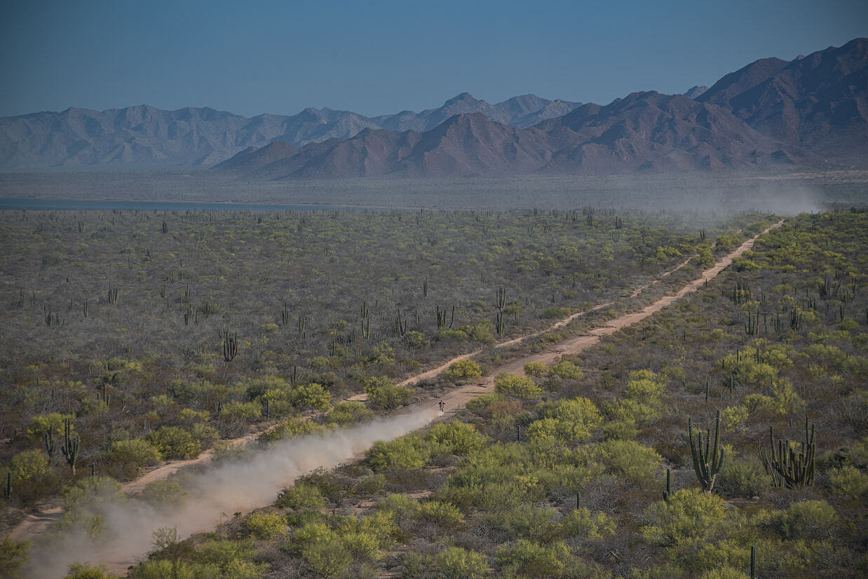 Toby Price - Red Bull KTM Factory Racing - 2023 Sonora Rally