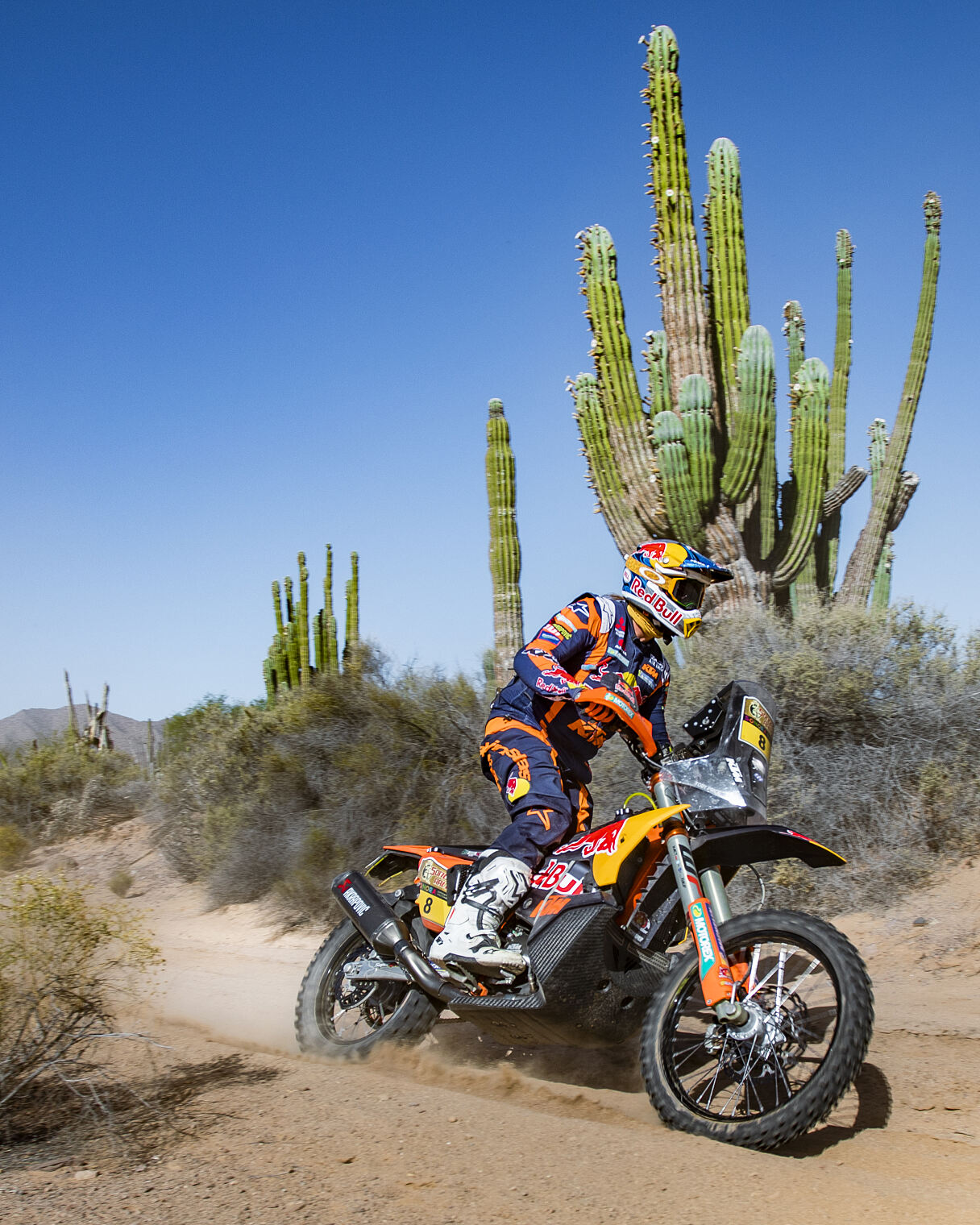 Toby Price - Red Bull KTM Factory Racing - 2023 Sonora Rally