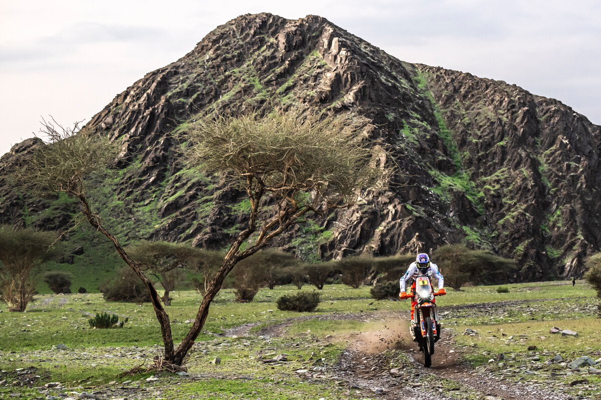 MY24 KTM 450 RALLY REPLICA