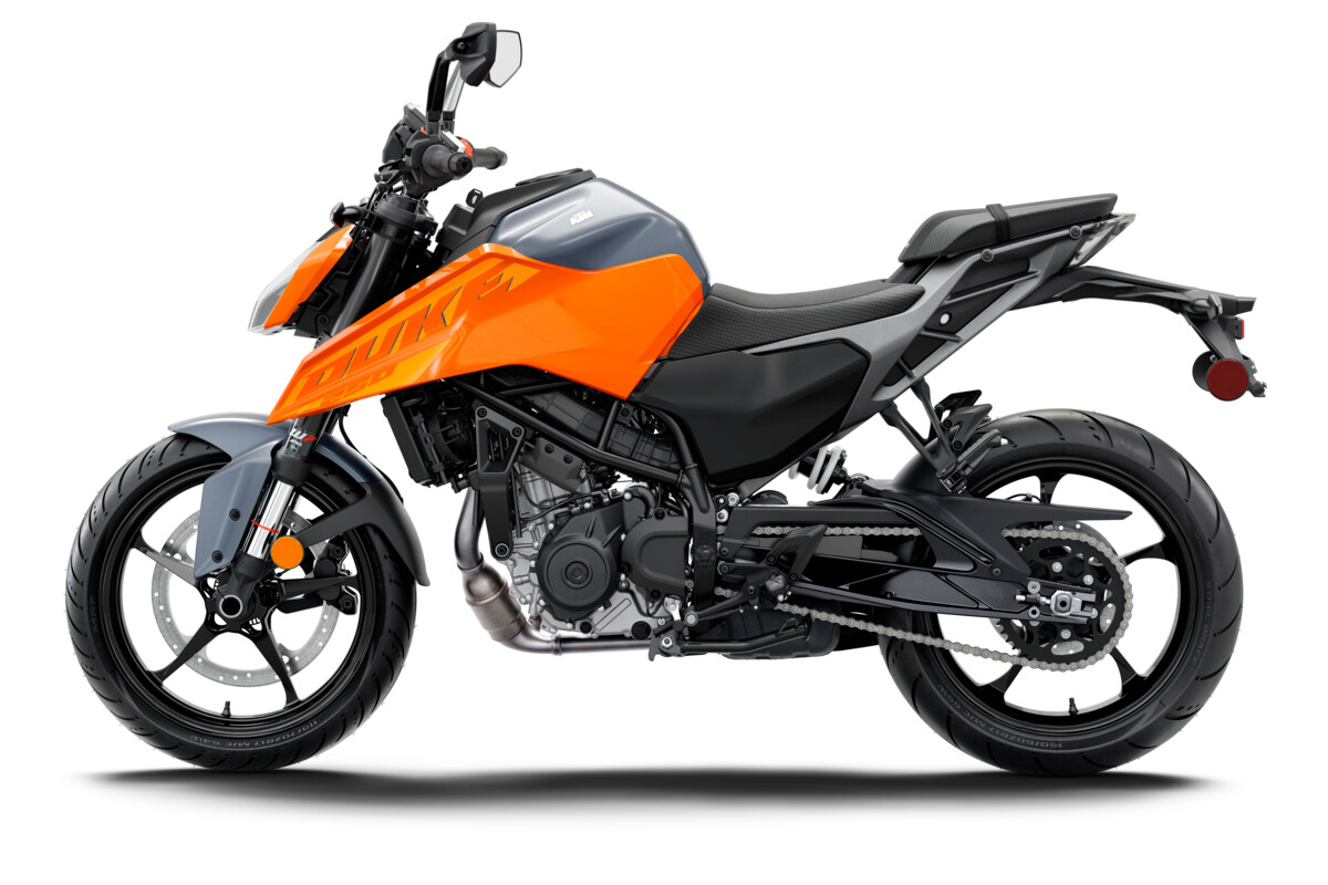 2024 KTM DUKE range