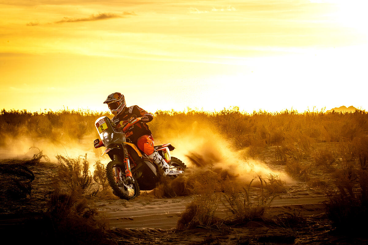 Toby Price - Red Bull KTM Factory Racing - 2024 Dakar Rally