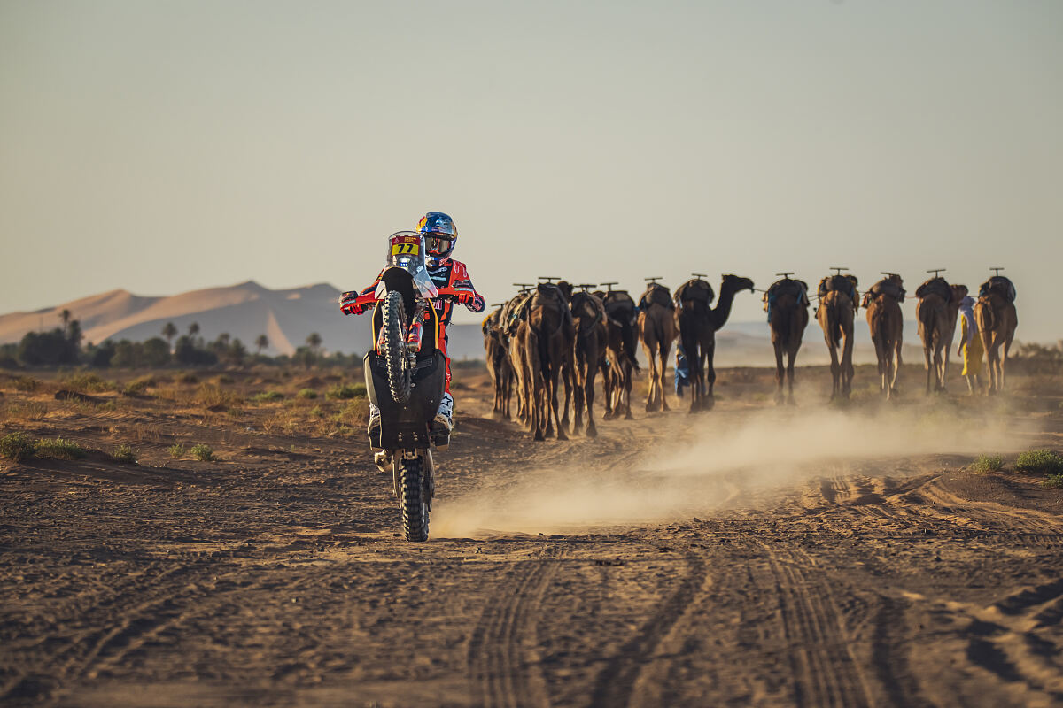 Red Bull KTM Factory Racing - 2026 Dakar Rally Team Announcement